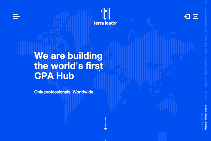 Terra Leads website preview